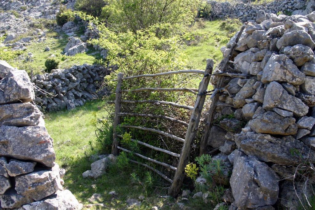 Lavanda Penzión pre hostí Cres
